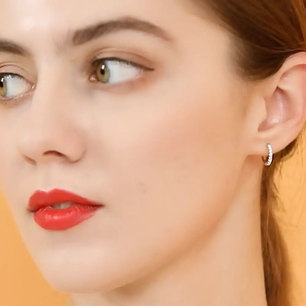 Silver Small Earrings